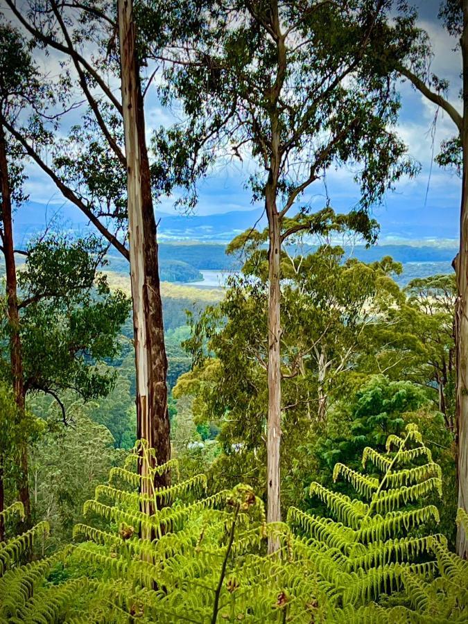 Melbourne Topview Villa In Dandenong Ranges Near Skyhigh Kalorama Exterior foto
