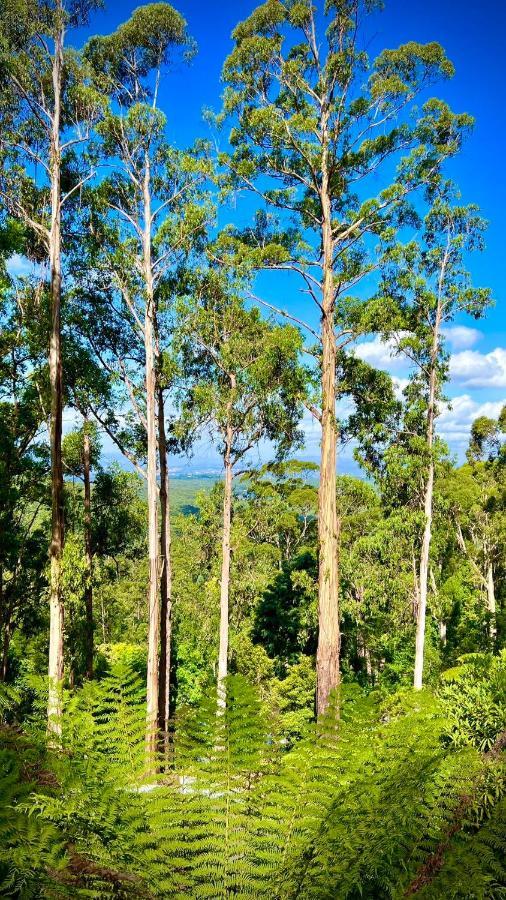 Melbourne Topview Villa In Dandenong Ranges Near Skyhigh Kalorama Exterior foto