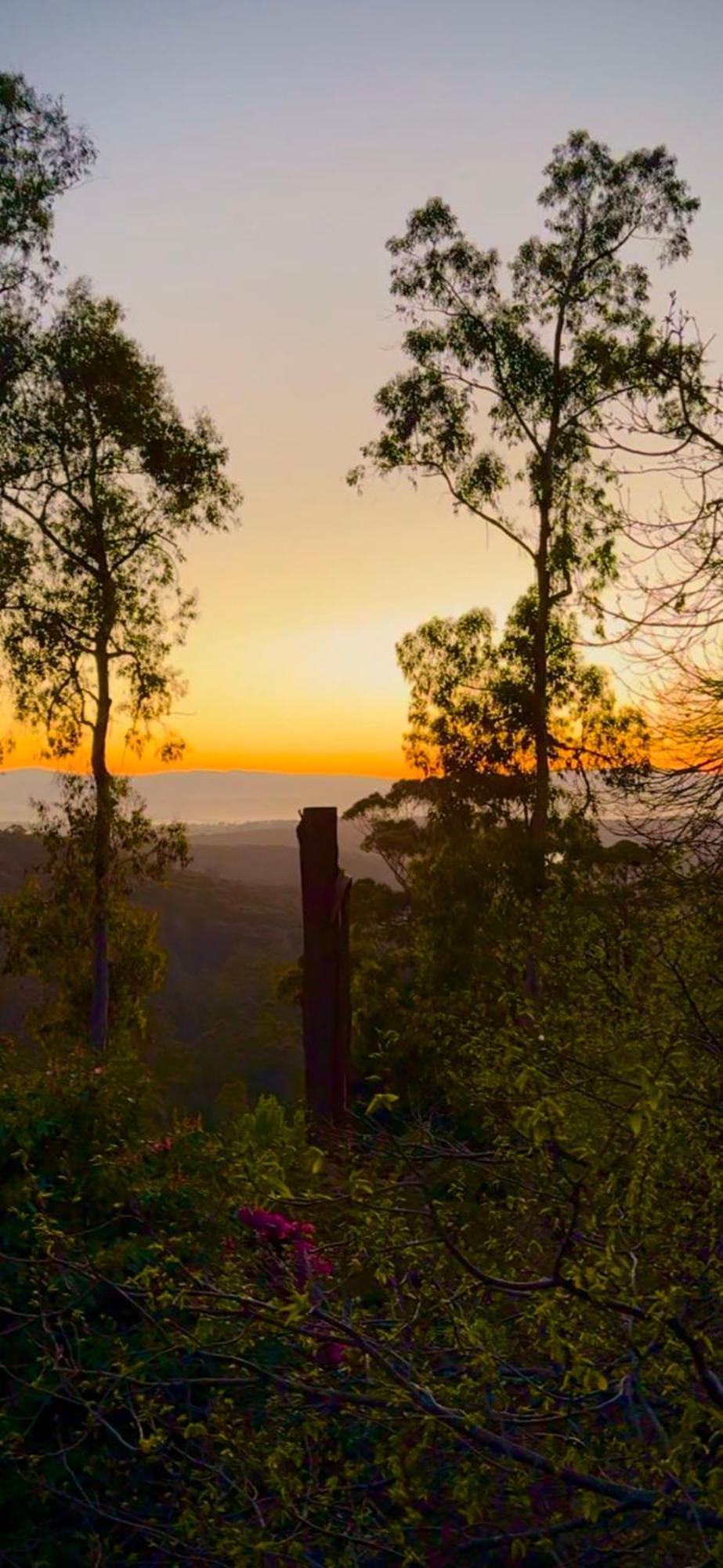 Melbourne Topview Villa In Dandenong Ranges Near Skyhigh Kalorama Exterior foto