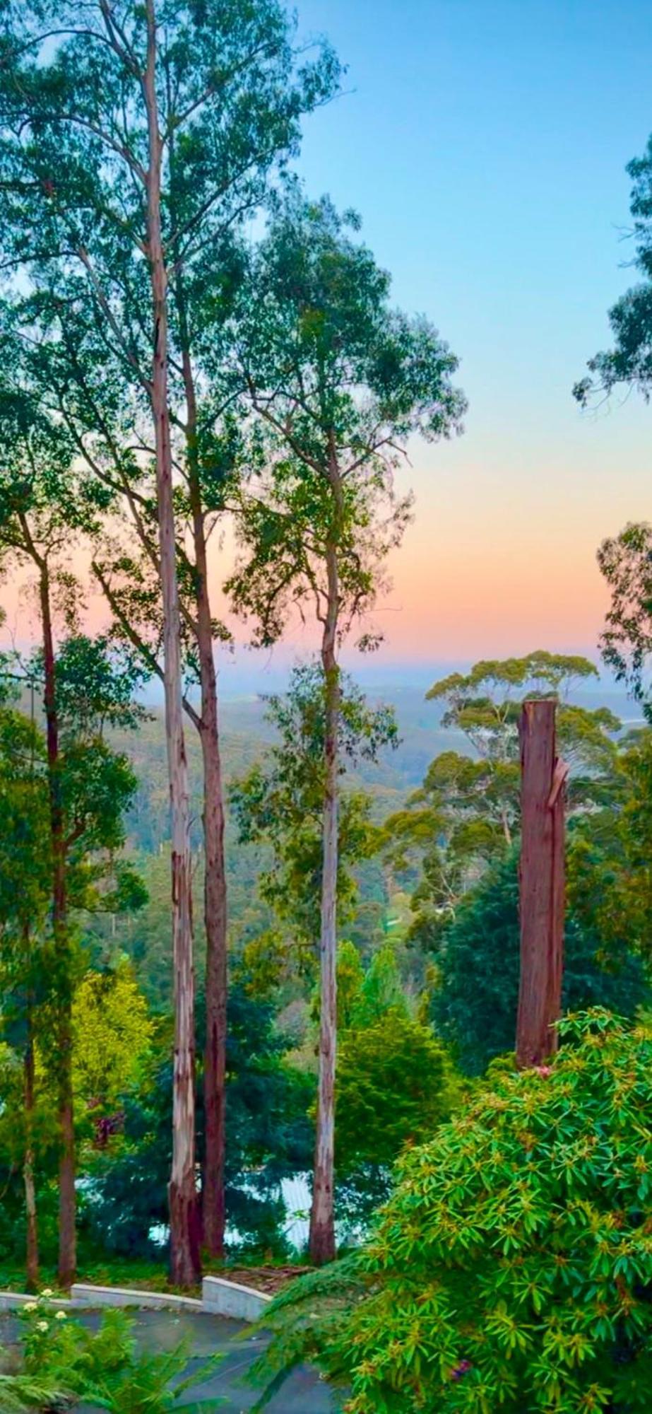 Melbourne Topview Villa In Dandenong Ranges Near Skyhigh Kalorama Exterior foto